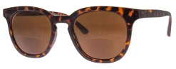 Cabana (Bifocal Sunglass Readers)*AJ Morgan Eyewear Online