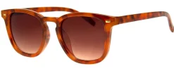 Census Taker*AJ Morgan Eyewear New