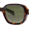 Comfort Zone*AJ Morgan Eyewear Clearance