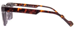 Companion*AJ Morgan Eyewear Online