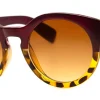 Do Wah Ditty*AJ Morgan Eyewear Discount