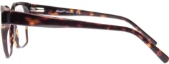 Exhaled*AJ Morgan Eyewear Hot