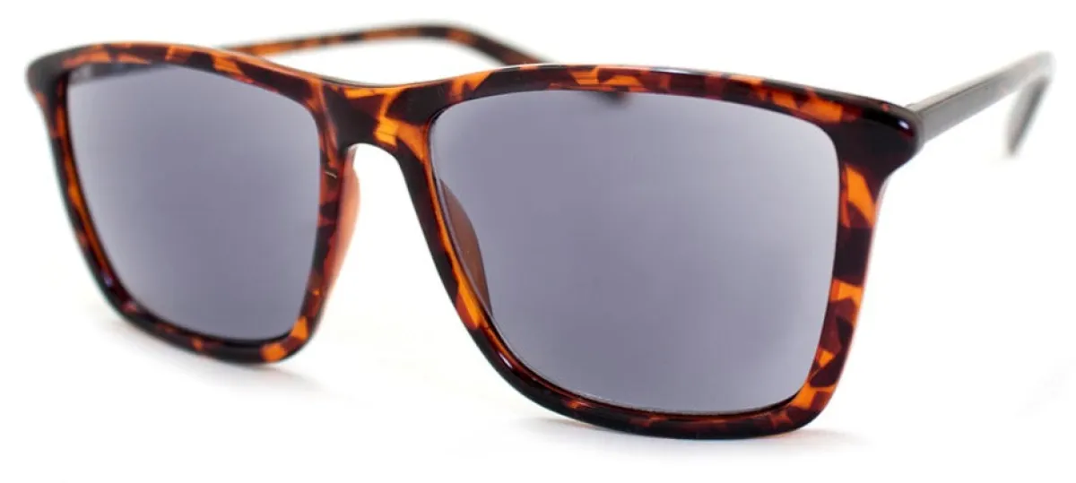 Franklin*AJ Morgan Eyewear Outlet