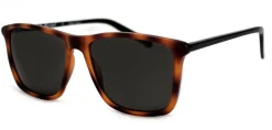 Franklin*AJ Morgan Eyewear Outlet