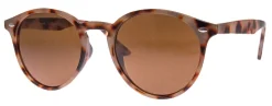Pointdexter*AJ Morgan Eyewear